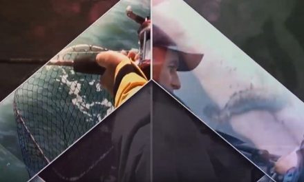 Talking Tackle – using Sidewinders and Redgills