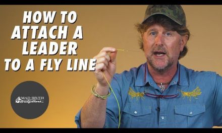 How To Attach A Leader To A Fly Line