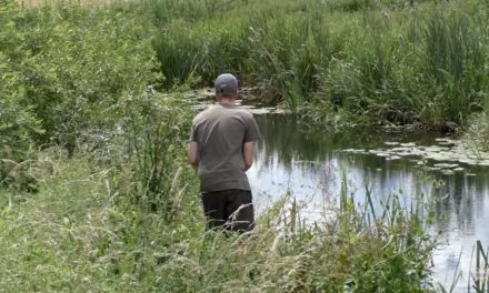 Barbel Fishing – Targeting Small Rivers With James Champkin