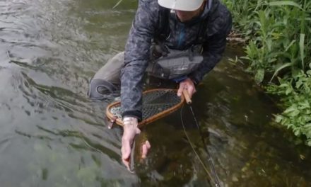Chalkstream Challenges
