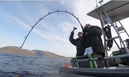 Monster halibut fishing at Havoysund in Norway