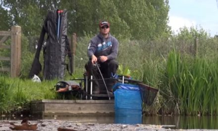 Float Fishing The Traditional Waggler – Fun Session!