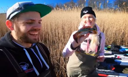 Best Lure Color for ULTRA CLEAR WATER
