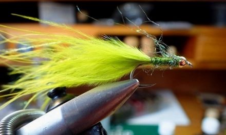 Easy to tie Damsel: Perfect summer pattern from Alan Liddle