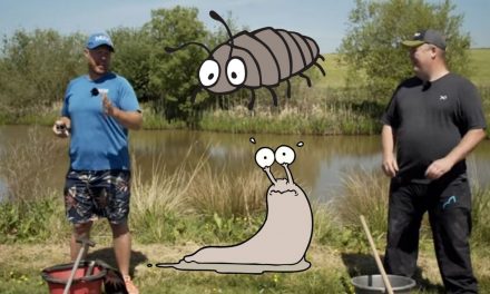 Foraged Bait Challenge – Jamie Hughes V Andy May