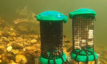 Jack Perks BaitCam Test: Pellet vs Meat for Barbel & Coarse Fish