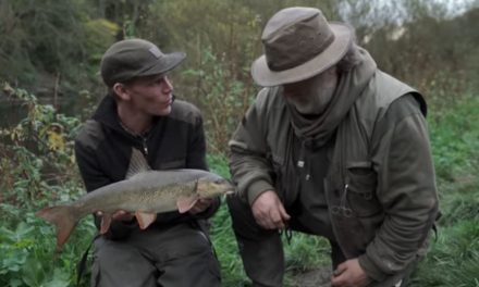 Barbel Fishing The Severn