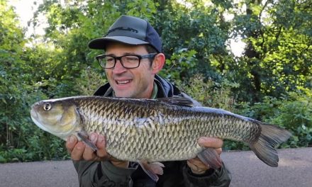 River Lea & Blackwater Chub Fishing