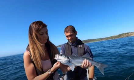 Bass, Pollack and Wrasse  Family Sea Fishing!