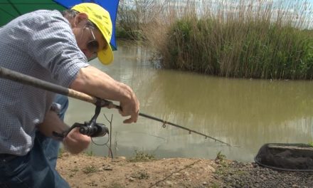 Simple Coarse Fishing with Prawns & Bread
