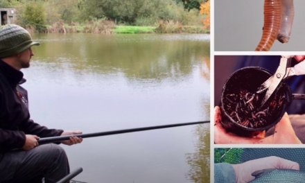 Chopped Worm Fishing with Dom Garnett