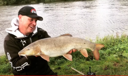 Big Barbel on a Budget