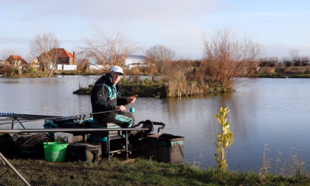 Feeding For Commercial Silvers – Alan Scotthorne