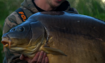 Fishing for Huge UK carp