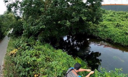 Crazy Non Stop Action – Lure Fishing for Chub!