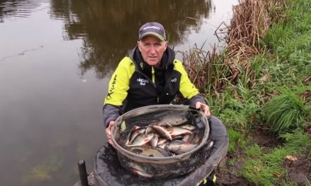 Fishing Chopped Worm