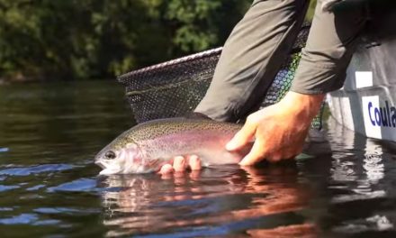 Stillwater Trout Fishing Throughout The Winter Months