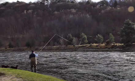 Spring Salmon Fishing