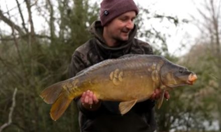 Catch Carp In The Cold!