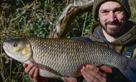 Specialist Approach To Chub With Daniel Woolcott