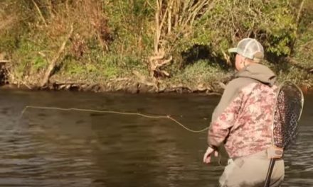 Beginners Guide To Fly Fishing On Rivers!