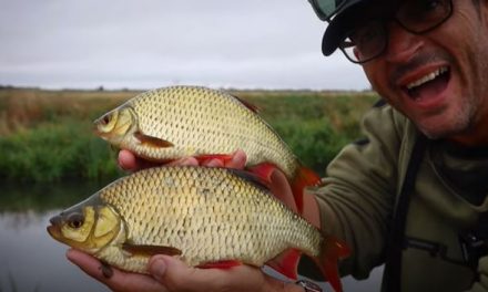 Fenland Rudd With Nick Marsh!