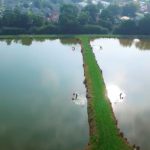 How Does A Fish Farm Work?