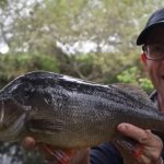 Sussing Out Perch On New Venues!