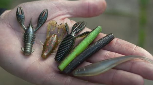How To Fish The Ned Rig!