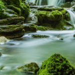 Angling Trust’s call for water companies’ fines to be invested in the environment accepted by the government